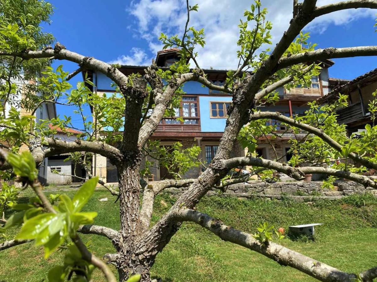 Casa Rural El Bohio Arriondas Eksteriør bilde